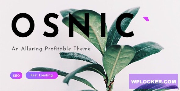 Osnic v1.8.5 – Adsense WordPress Theme