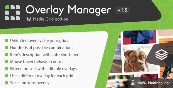 Download Free Media Grid – Overlay Manager add-on v1.5