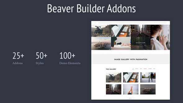 Download Free Livemesh – Addons for Beaver Builder Pro v2.0.1