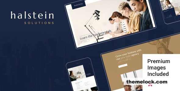 Halstein v1.2 – Business Consulting