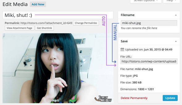 Download Free Media File Renamer Pro v4.2.2