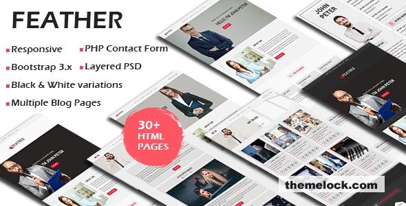 FEATHER – Multipurpose Responsive Personal Portfolio, Resume One Page HTML Template