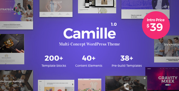 Download Free Camille v1.0.1 – Multi-Concept WordPress Theme