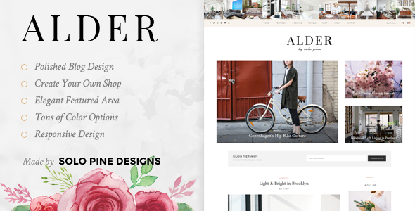 Download Free Alder v1.1 – A Responsive WordPress Blog Theme