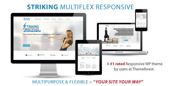 Download Free Striking v1.2.9.5 – Themeforest MultiFlex & Ecommerce Theme