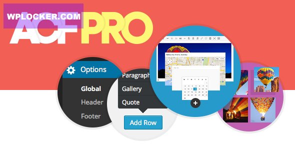 Advanced Custom Fields Pro v6.1.1